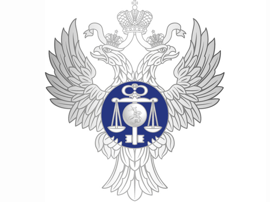 Logo of Казначейство России